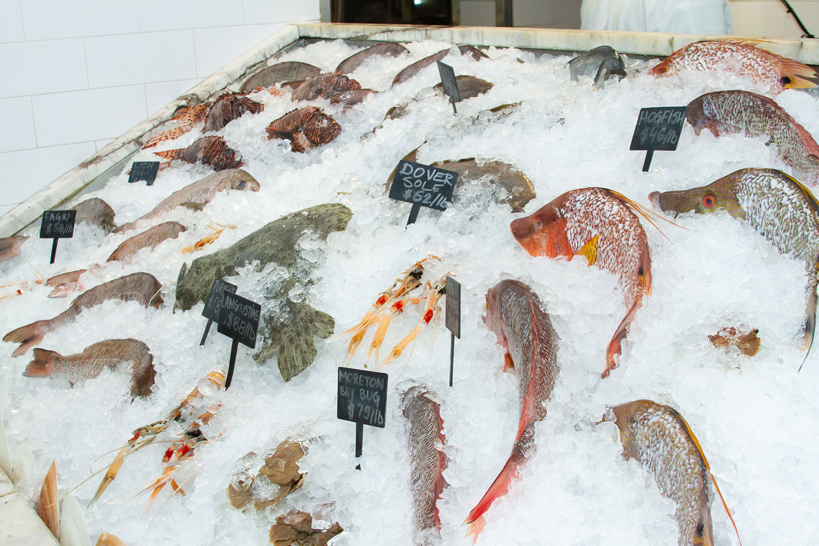 Photo-shoot-9-Seafood-Market.jpg